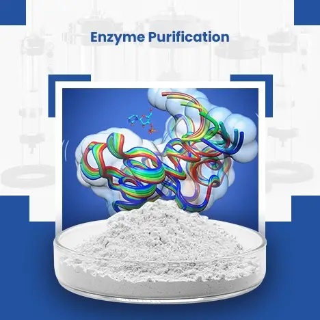 Enzyme Purification