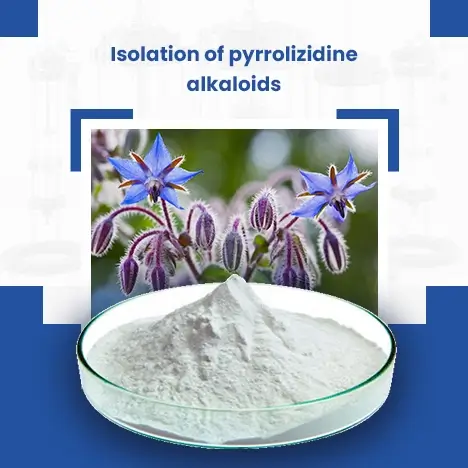 Isolation Of Pyrrolizidine Alkaloids