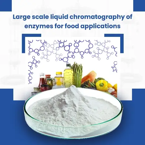 Large Scale High Performance Liquid Chromatography Of Enzymes For Food Applications