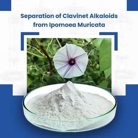 Large Scale Separation Of Clavinet Alkaloids From Ipomoea Muricata