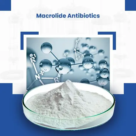 Macrolide Antibiotics