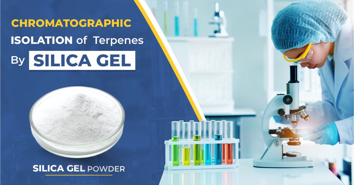 Chromatographic Isolation Of Terpenes By Silica Gel