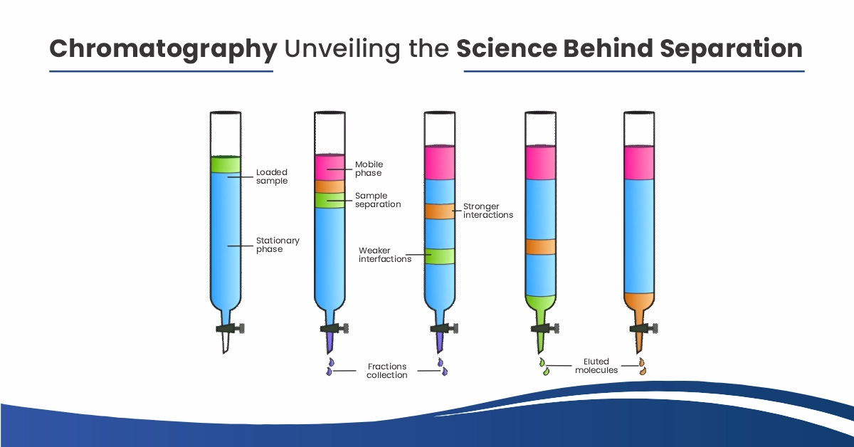 Chromatography Unveiling The Science Behind Separation