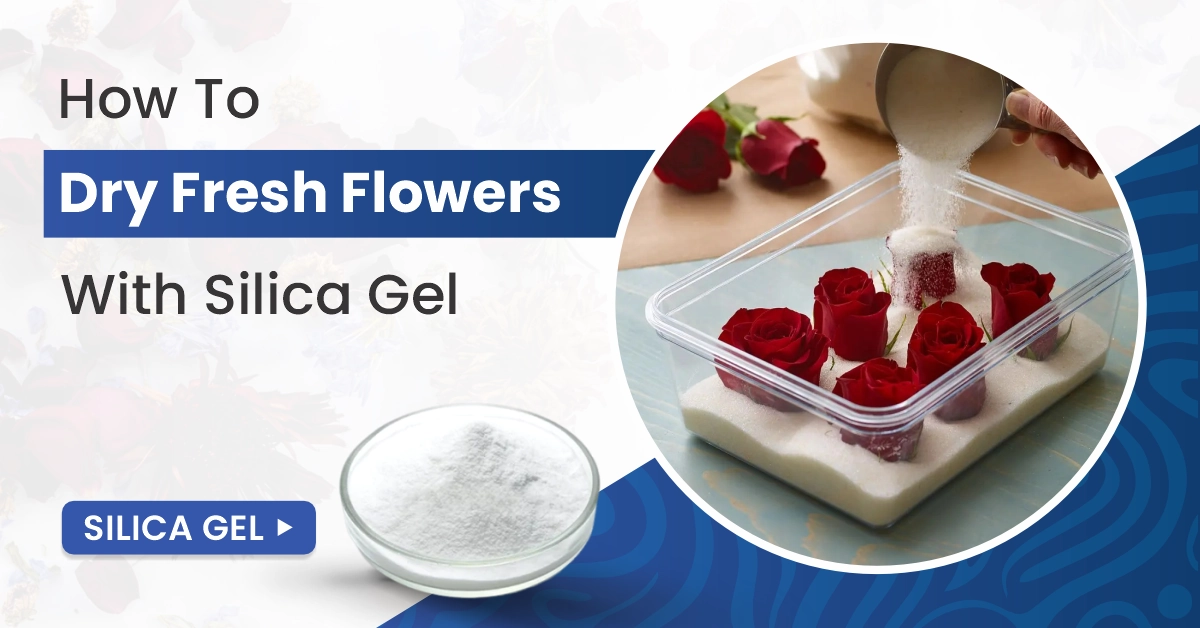 Dry Fresh Flowers With Silica Gel